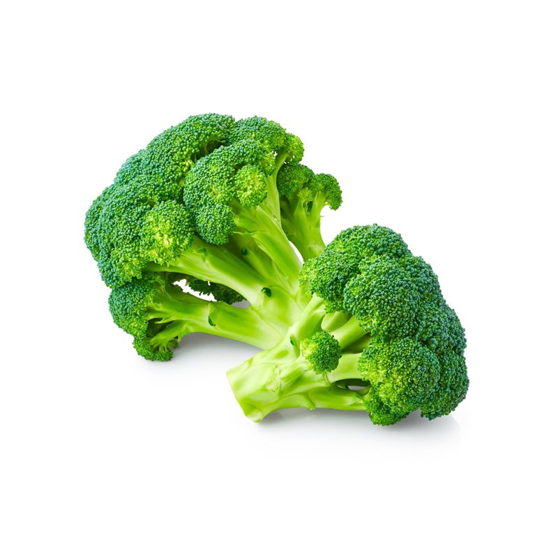 Life Extension, two pieces of broccoli on white background 